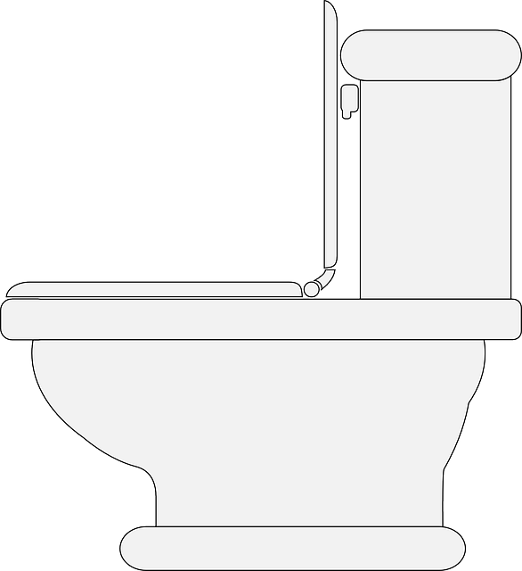 toilet-145802_640
